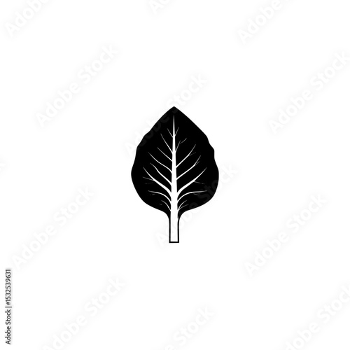  bok choy icon vector 
