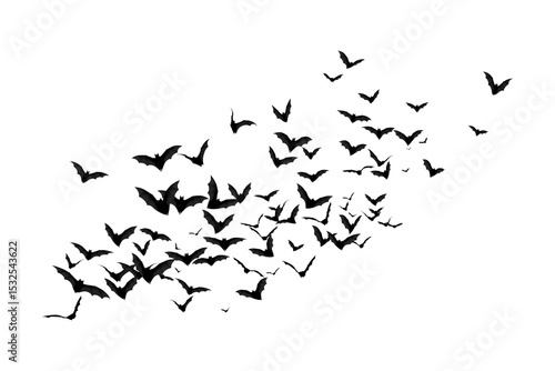 Valokuva Swarm of Bats. flock. Halloween, Cut Out