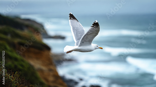Seagull flying over coastal cliffs with ocean waves in background, showcasing nature beauty and freedom in serene coastal environment