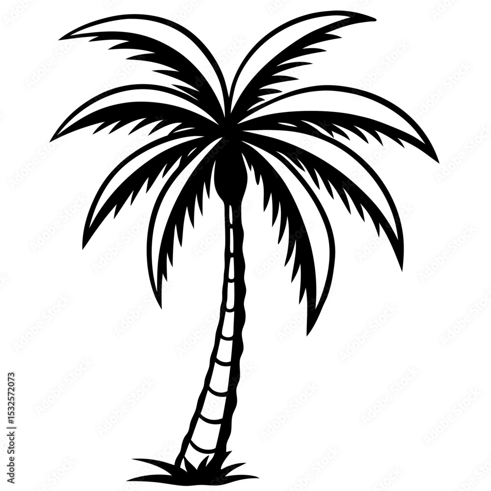 Obraz premium Shadowed Tropics