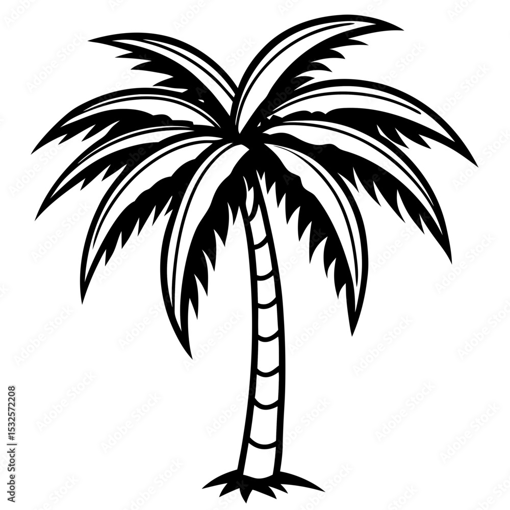 Fototapeta premium Shadowed Tropics