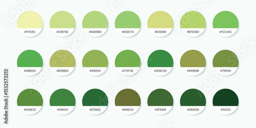 Green avocado colour palette icon in flat style. Catalog samples vector illustration on isolated background. Color catalog sign business concept.