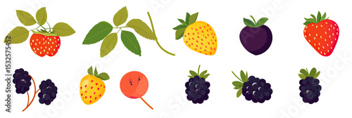 Vector set of hand drawn cartoon berries including strawberry, mulberry, cloudberry, and blackberry with leaves isolated on white background in flat style