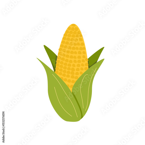 Flat corn vegetable vector. Maize clipart on transparent background 