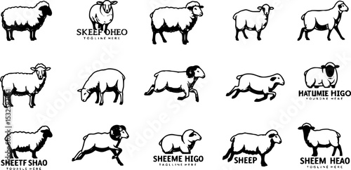 set of Sheep logo icon template. vector png clip art
