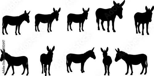 Donkey silhouette on white background. Donkey icon flat vector illustration design.

