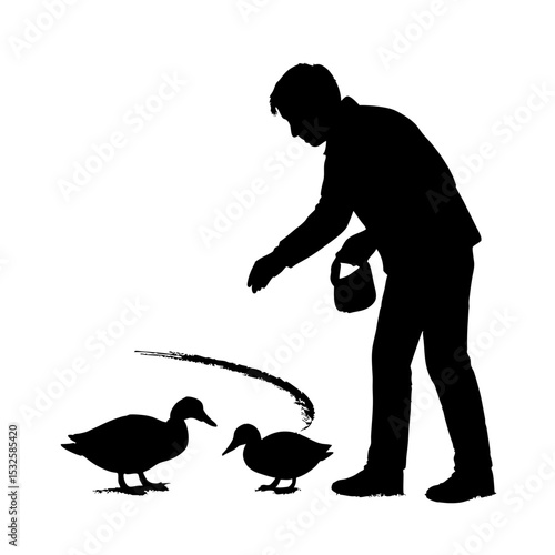 Person feeding ducks, two mallards Anas platyrhynchos enjoying food from bucket. Silhouette illustration of a person sharing food with ducks, perfect for children's books or nature-themed projects.