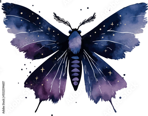 Moody moth vector. Artistic nocturnal insect with abstract watercolor style.