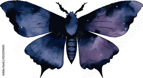 Moody moth vector. Artistic nocturnal insect with abstract watercolor style.