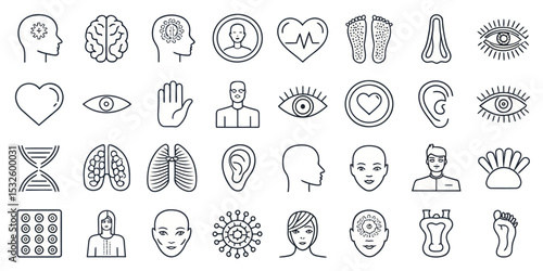 Monochrome Line Icon Set of Human Body in Vector Format

