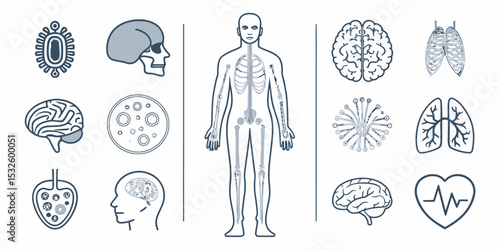 Monochrome Line Icon Set of Human Body in Vector Format

