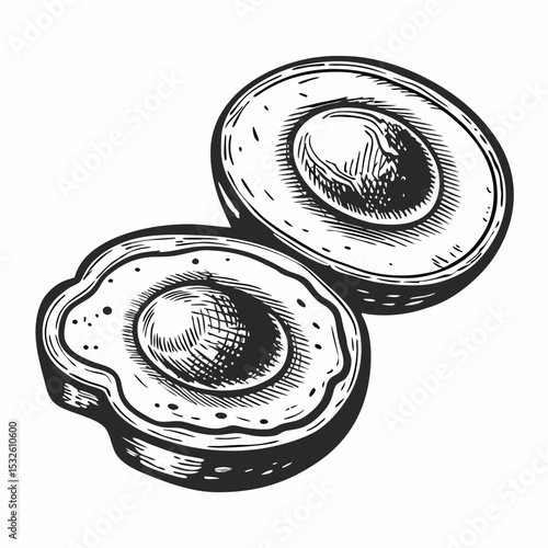 Delicious scrambled eggs illustration with yolk and white. Scrambled eggs image shows texture and detail of egg whites and yolks.