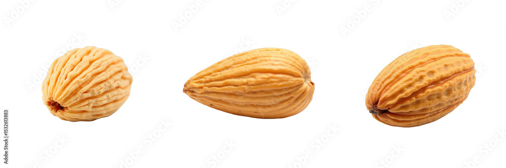 Macro shot of three whole almonds with textured shell isolated on a transparent background displaying unique shapes and natural characteristics of the nuts. Macro shot of three whole almonds with textured shell isolated on a transparent background displaying unique shapes and natural characteristics of the nuts.