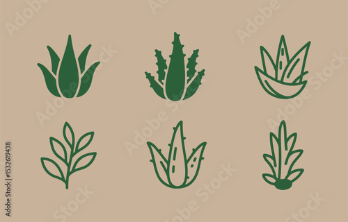 Collection of six green aloe vera plant illustrations
