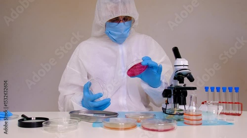 Examine bacteria in petri dishes in the laboratory. Selective focus.