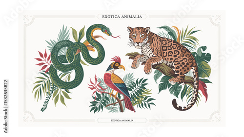 Exotica Animalia: Illustrated Tropical Animals - Snake, Bird, Jaguar with Foliage
