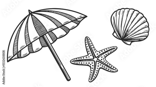 Vintage Beach Elements – Line Engraving of Umbrella, Starfish, and Seashell