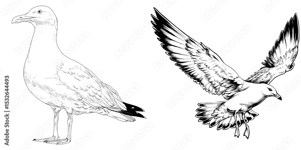 custom made wallpaper toronto digitalA modern illustration featuring a seagull icon set against a white background