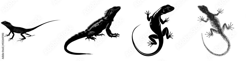 Naklejka premium A lizard's black silhouette stands alone on a white backdrop