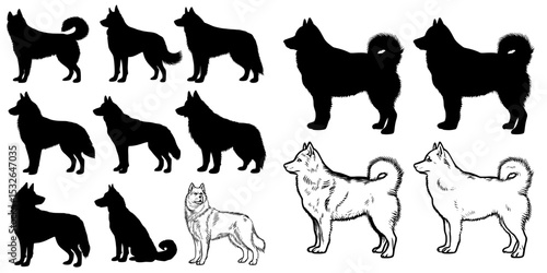siberian husky silhouette collection - black modern dog set against white' is now 'modern siberian husky shapes - black dog set on white