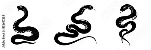 A snake graphic icon is represented by a modern illustration of its black silhouette on a white background