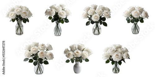 Various arrangements of white roses in different small glass vases with transparent background isolated on transparent for floral design and decor usage.