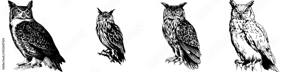 Obraz premium Modern black color silhouette illustration of an owl bird for use in icons, logos, posters, and banners, depicting an abstract wild animal isolated without a background, suitable for zoos, hunting