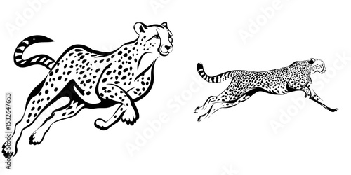 A cheetah running is depicted in a modern black silhouette form on a white isolated background