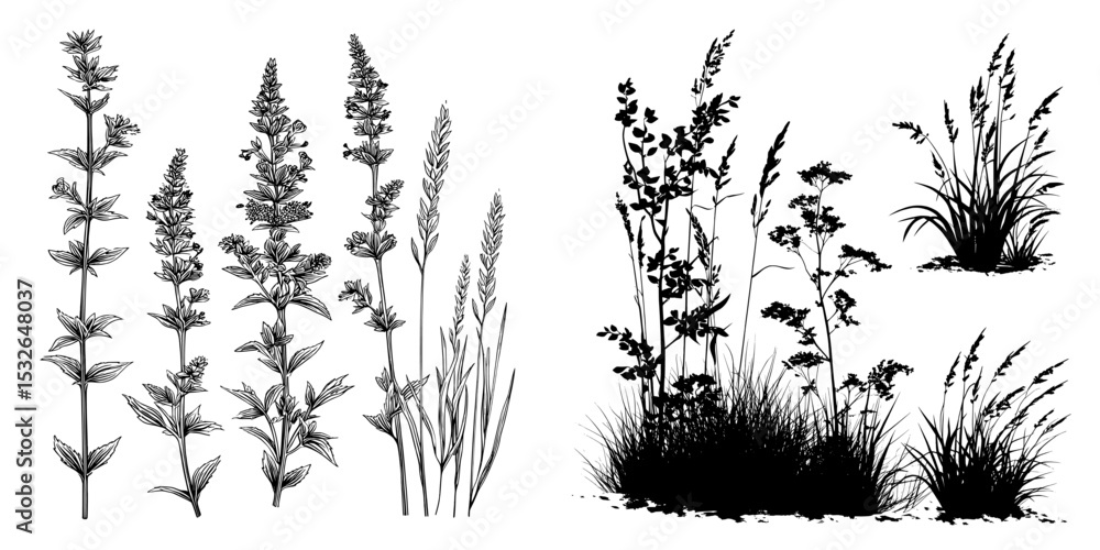 Fototapeta premium A modern illustration including silhouettes of various wild plants, grass, and weed plants
