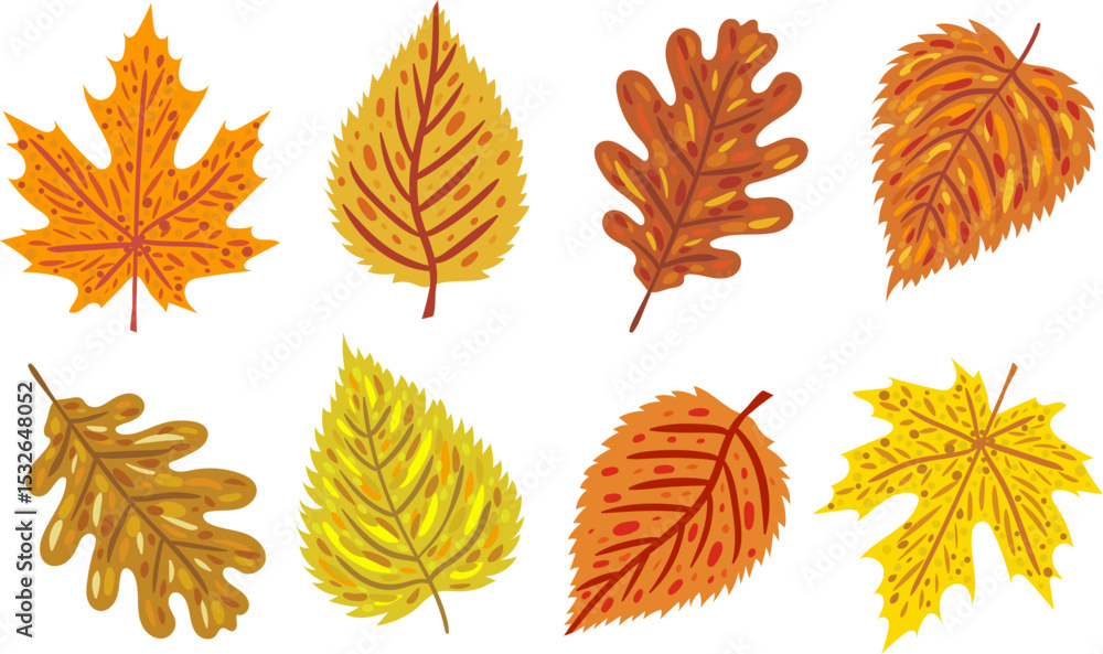 Fototapeta premium autumn leaves vector set with abstract patterns colorful fall foliage elements web design posters decoration hand drawn style collection isolated digital art