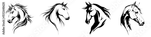 Creating the dark outline of a horse's head against a white backdrop