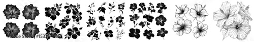 A contemporary collection of dark tropical hibiscus flower silhouettes set against a white backdrop