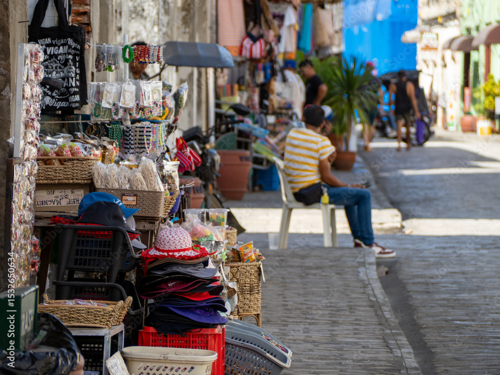 Naklejka premium フィリピンのビガン