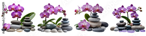 Orchid flowers with smooth pebbles arranged artfully for spa and wellness themes on a transparent background capturing tranquility and natural beauty