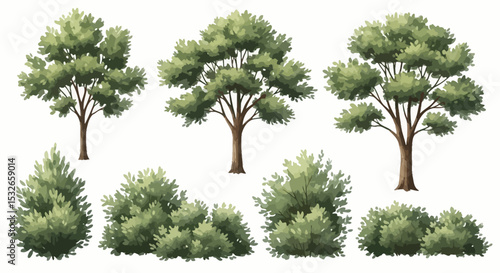 Collection of Lush Green Trees and Shrubs  High-Resolution Illustrations for Design Projects