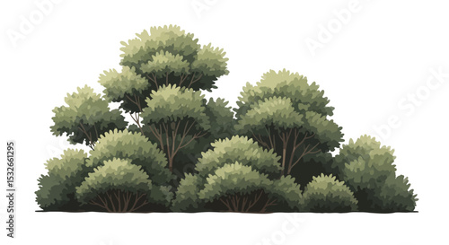 Lush Green Bush Cluster Illustration Detailed Nature Scene for Design Projects