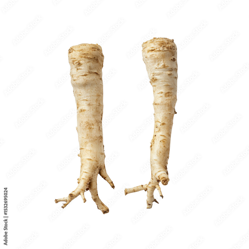 Two Fresh Horseradish Roots Isolated on Black Background Two Fresh Horseradish Roots Isolated on Black Background