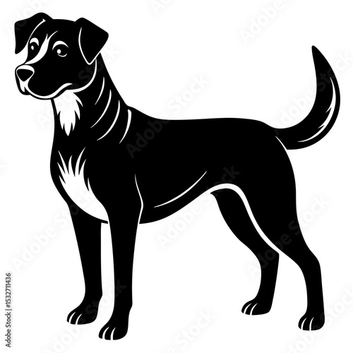 quite dog