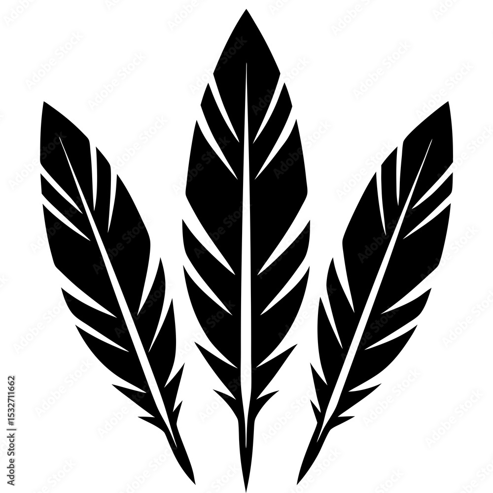 Obraz premium Tribal feathers 