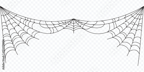 Spider Web Vector Decoration