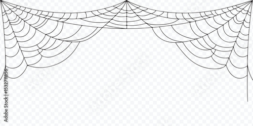 Spooky Cobweb Line Art Graphic Vector