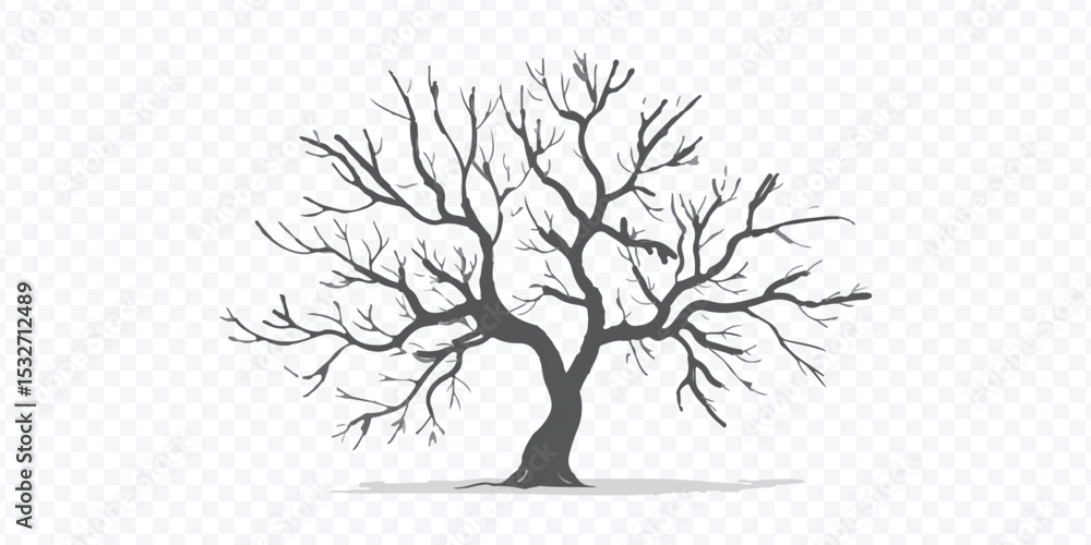 Fototapeta premium Bare Tree Silhouette Nature Element Vector