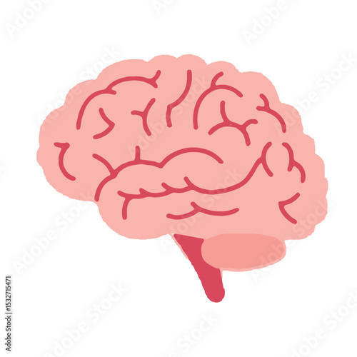 Brain illustration for design 