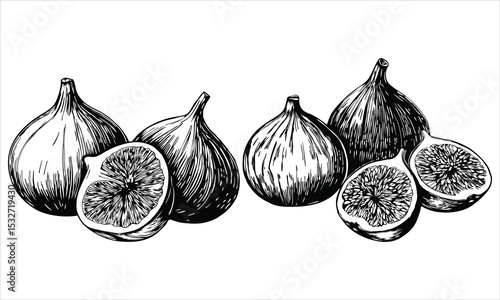 Figs isolated on white background in a black and white drawing style