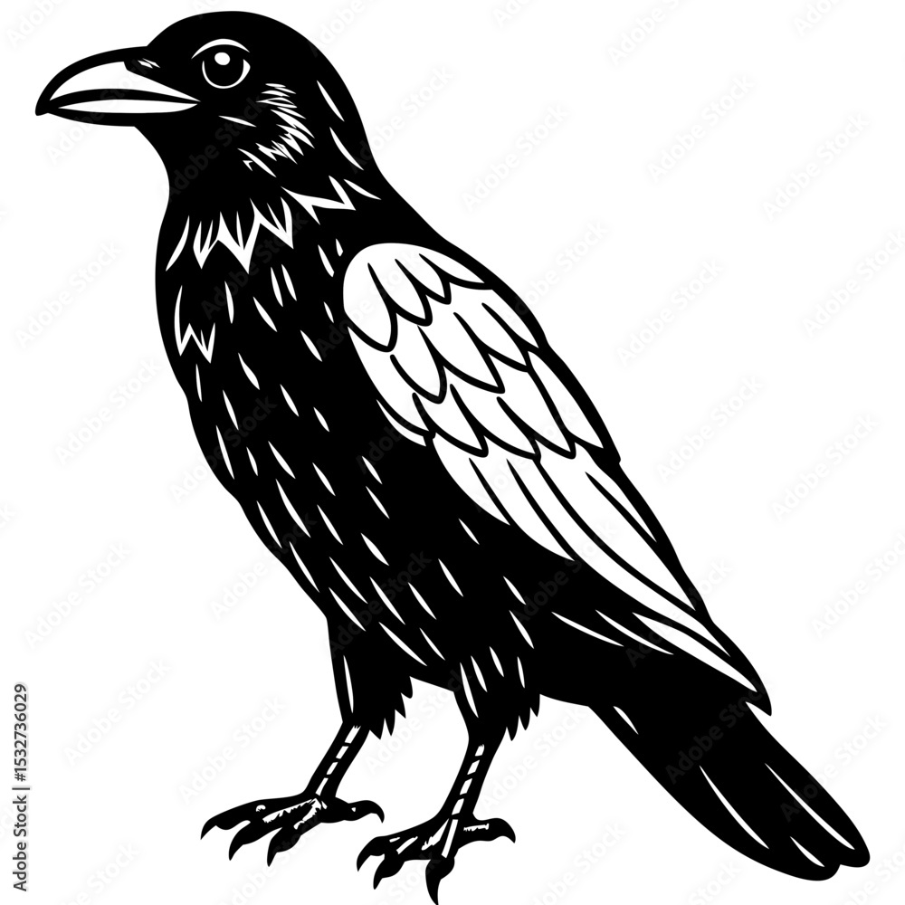 Fototapeta premium Raven Ink line art vector