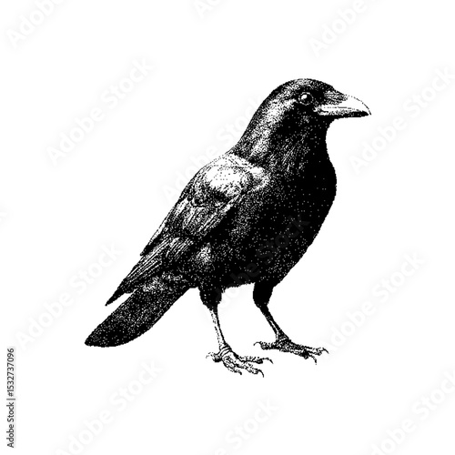 Crow  Pixel art. The pixels are scattered, dissolve. Vector monochrome style. Abstract random squares, background. Template. Monochrome style. Vectores. Vector para descargar