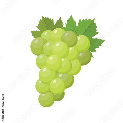 Green grapevine branch on a white isolated background. Symbol of light-colored grape varieties. Flat vector illustration perfect for wine, harvest, organic food, and nature-themed designs