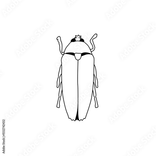 line art cockroach
