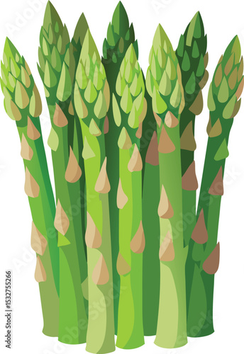 flat vector asparagus 