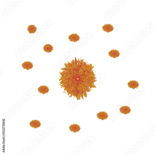 A Striking Arrangement of Orange Flowers: A Central Bloom Surrounded by Smaller Companions in a Symmetrical Design.